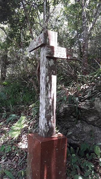 20180801_120211.jpg 20180801_120211.jpg