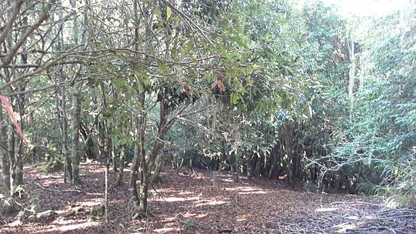 20180903_075215.jpg 20180903_075215.jpg