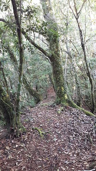 20180903_071734.jpg 20180903_071734.jpg