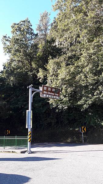 20180903_064956.jpg 20180903_064956.jpg