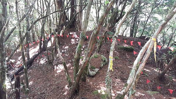 20180903_085542.jpg 20180903_085542.jpg