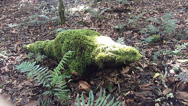 20180903_090150.jpg 20180903_090150.jpg