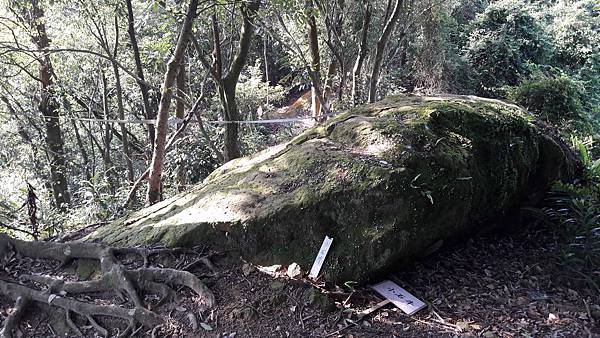 20200202_100024.jpg 20200202_100024.jpg