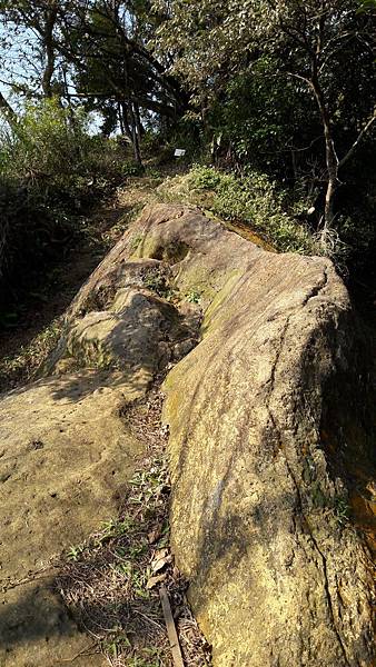 20200202_101215.jpg 20200202_101215.jpg