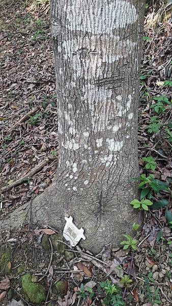 20200202_102220.jpg 20200202_102220.jpg