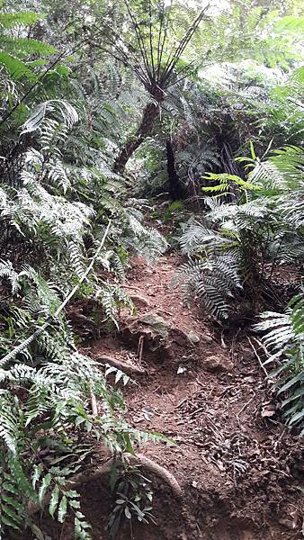 20200120_152842.jpg 20200120_152842.jpg