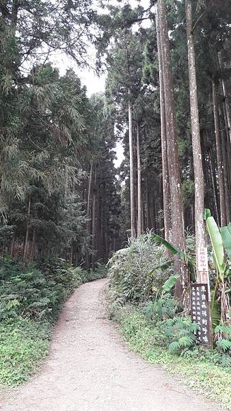 20180403_104624.jpg 20180403_104624.jpg