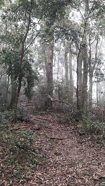 20180403_115114.jpg 20180403_115114.jpg