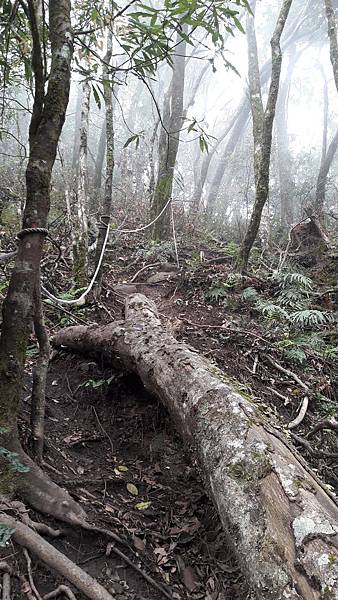 20180403_123743.jpg 20180403_123743.jpg