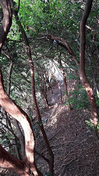 20200428_164825.jpg 20200428_164825.jpg