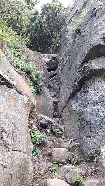 20200428_164518.jpg 20200428_164518.jpg