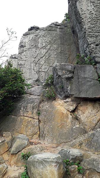 20200428_164357.jpg 20200428_164357.jpg