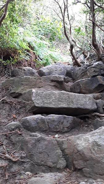 20200428_164114.jpg 20200428_164114.jpg