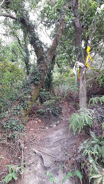 20200428_170110.jpg 20200428_170110.jpg