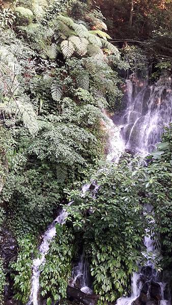 (112北投區)草山水道 藍寶石泉 大屯瀑布 日治水管橋