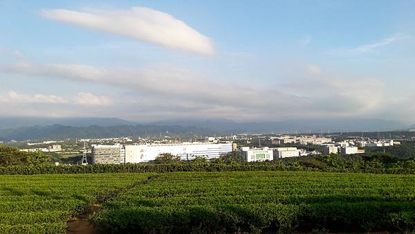 20200620_173708.jpg 20200620_173708.jpg