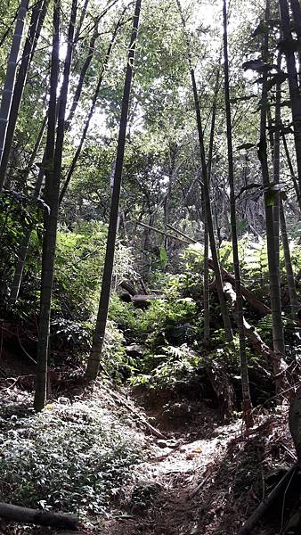 20170811_095219.jpg 20170811_095219.jpg