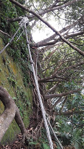 20170811_104953.jpg 20170811_104953.jpg