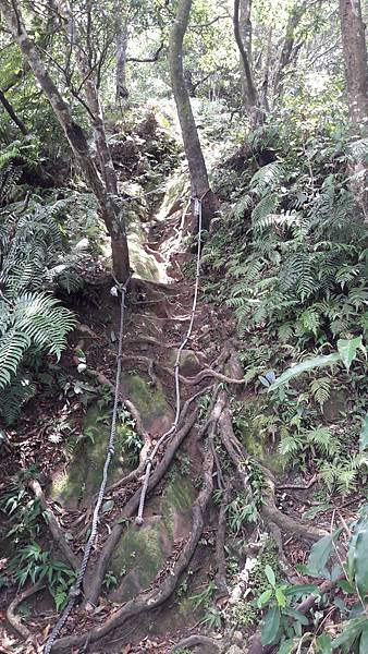 20170811_113659.jpg 20170811_113659.jpg