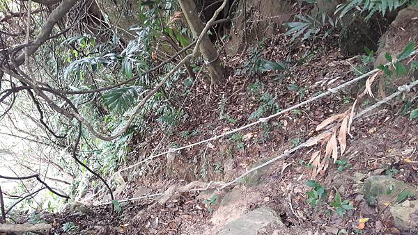 20170811_131817.jpg 20170811_131817.jpg