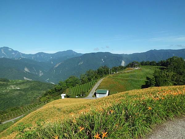 CIMG6109.JPG CIMG6109.JPG