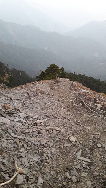 20200323_054619.jpg 20200323_054619.jpg