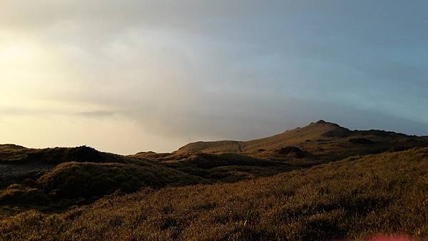 20200323_061708.jpg 20200323_061708.jpg