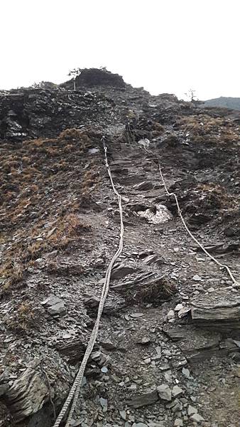 20200323_054613.jpg 20200323_054613.jpg