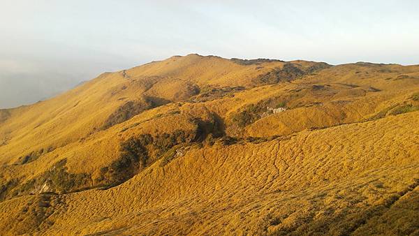 20200323_062141.jpg 20200323_062141.jpg