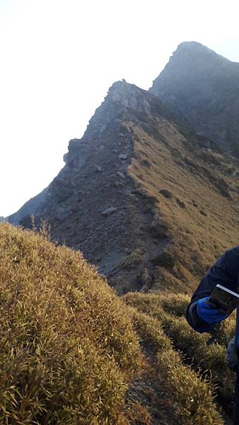 20200323_063003.jpg 20200323_063003.jpg