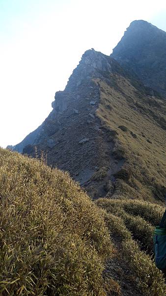 20200323_063007.jpg 20200323_063007.jpg