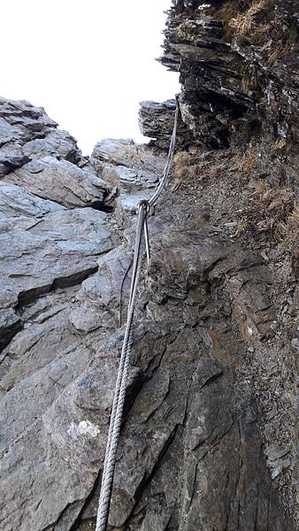 20200323_070407.jpg 20200323_070407.jpg