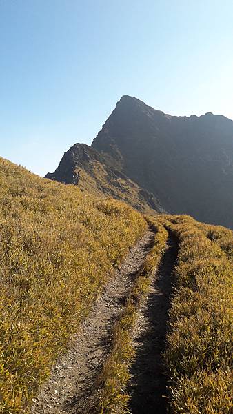 20200323_081939.jpg 20200323_081939.jpg