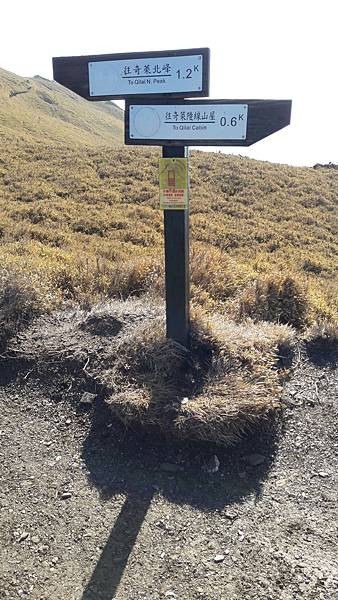 20200323_082408.jpg 20200323_082408.jpg