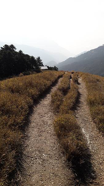 20200323_084015.jpg 20200323_084015.jpg