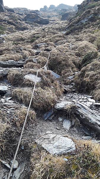 20200323_101853.jpg 20200323_101853.jpg