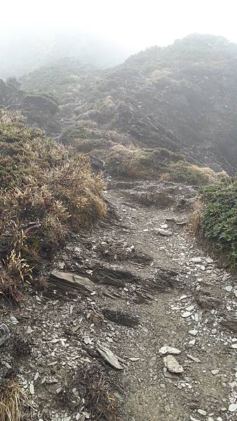 20200323_104631.jpg 20200323_104631.jpg