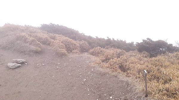 20200323_105826.jpg 20200323_105826.jpg