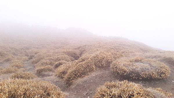 20200323_105829.jpg 20200323_105829.jpg