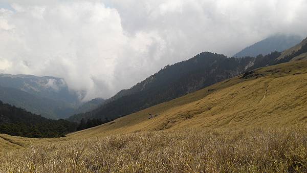 20200323_131430.jpg 20200323_131430.jpg