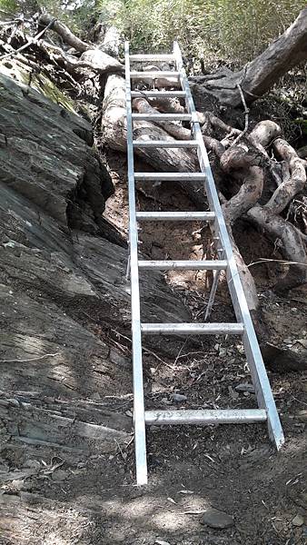 20200323_143327.jpg 20200323_143327.jpg