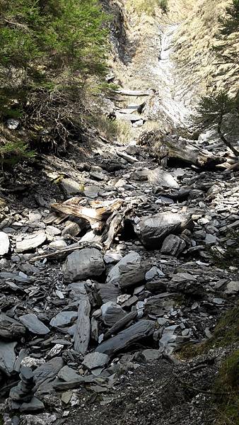 20200323_145709.jpg 20200323_145709.jpg