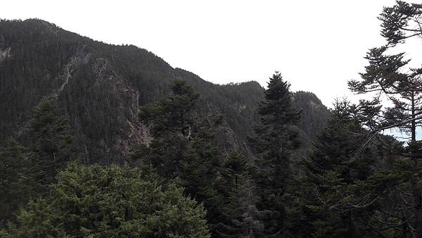 20200414_130005.jpg 20200414_130005.jpg