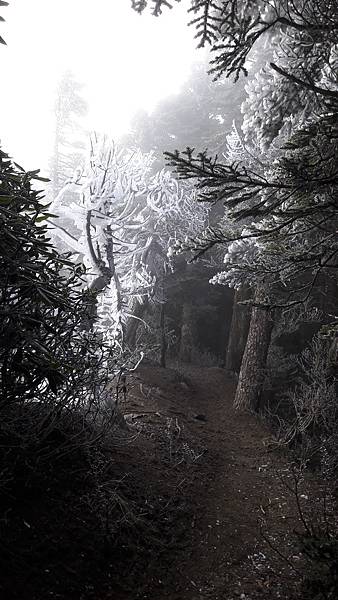 20200415_064712.jpg 20200415_064712.jpg