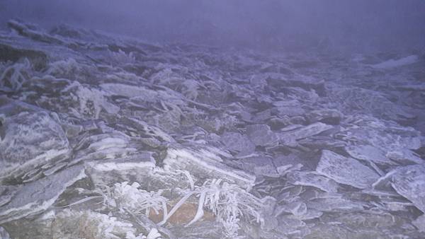 20200415_053005.jpg 20200415_053005.jpg