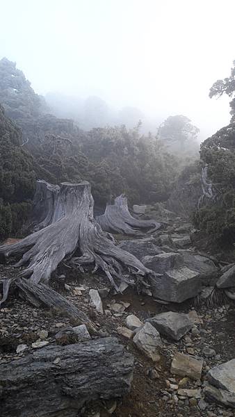 20200415_070102.jpg 20200415_070102.jpg