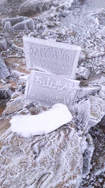 20200415_074318.jpg 20200415_074318.jpg