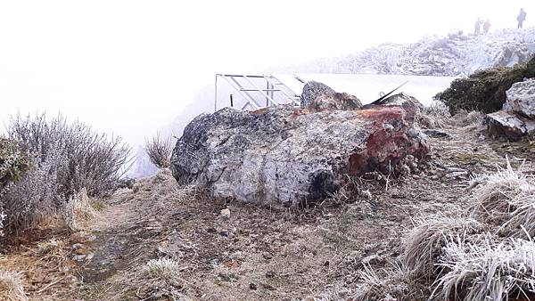 20200415_075719.jpg 20200415_075719.jpg