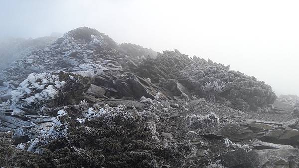 20200415_080431.jpg 20200415_080431.jpg