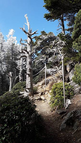 20200415_085833.jpg 20200415_085833.jpg